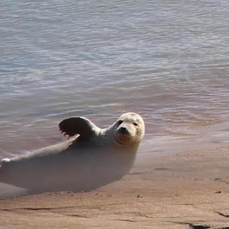 公寓 Zeezicht 奥斯滕德